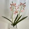 Elegant Dendrobium Artificial Orchid Stem With Foliage For Tabletop Decoration