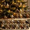 Acrylic Animal Model Ornaments Birds Prey Advent Calendar with 24 2D Ornaments, Countdown Nature Themed Room Decor Box Set, Realistic Figurines, Xmas