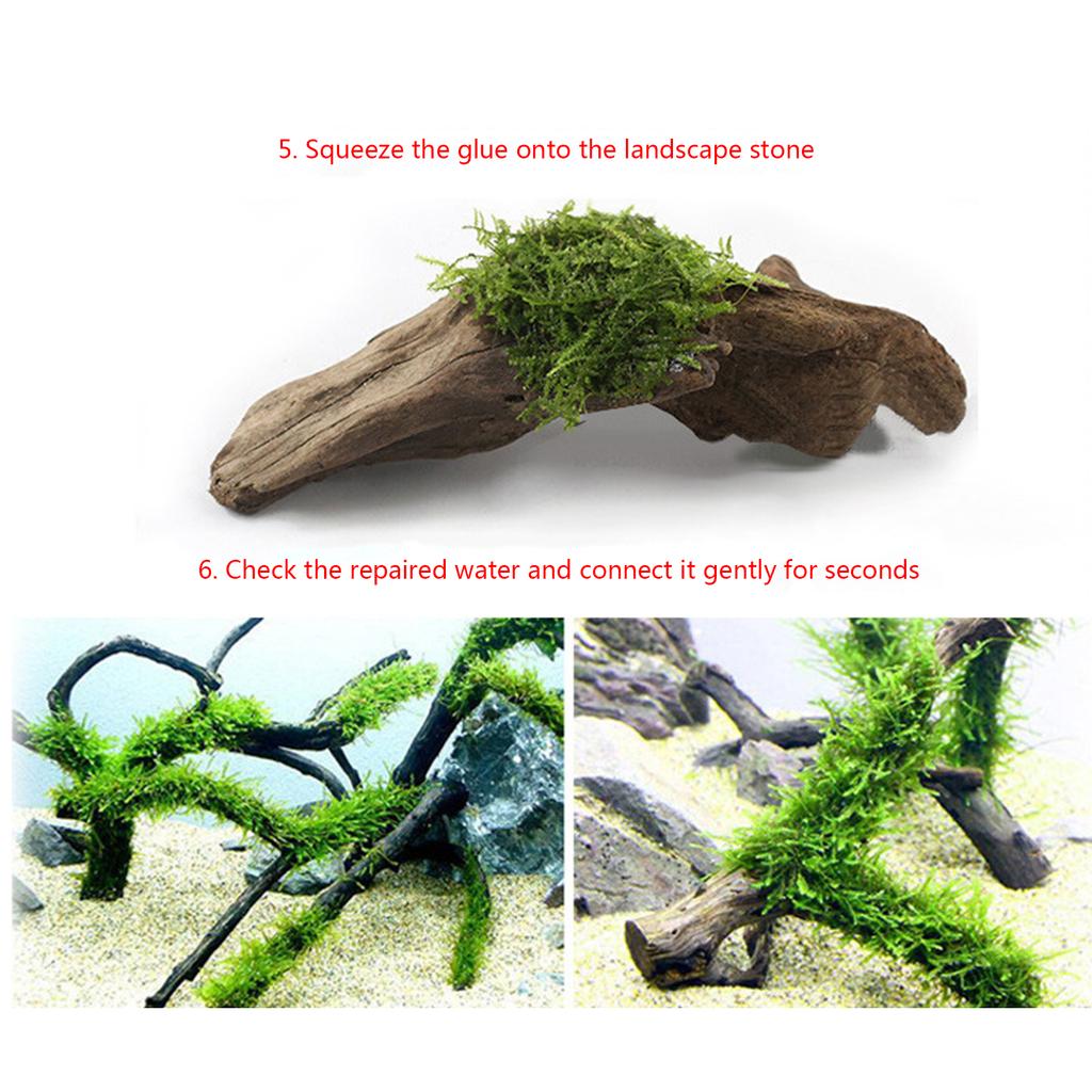 25PCS Aquatic Plants Driftwood Underwater Gel Quick Drying Safe Glue for Moss for Coral Sinking Wood Coral Snags
