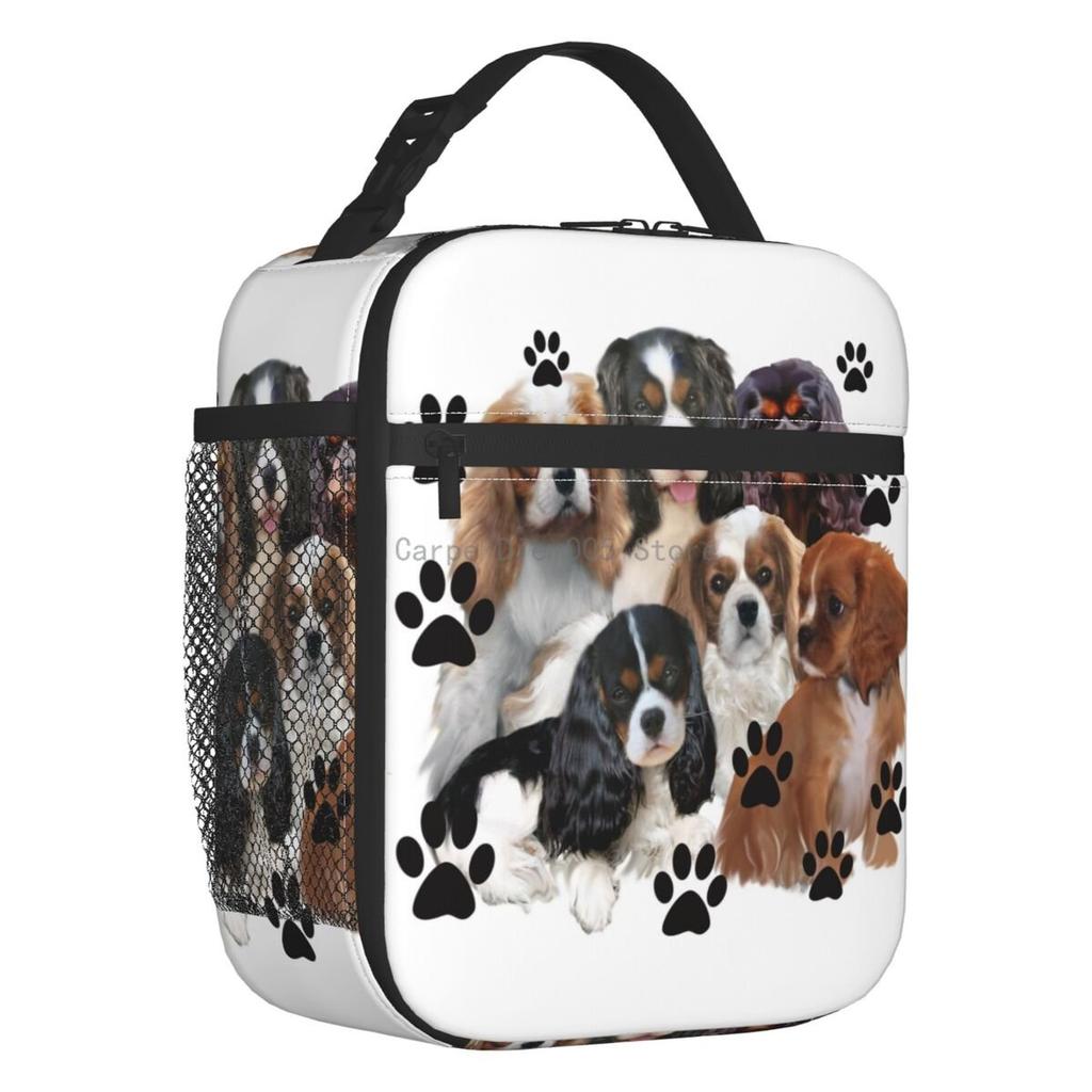 Кавалер-кинг-чарльз-спаниель Портативный ланч-бокс Герметичный Семейная группа Любитель собак Термосумка Изолированная сумка для обеда Дети