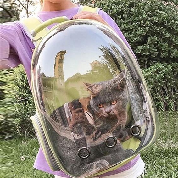 TDZQCat Сумка-переноска Дышащий Прозрачный Рюкзак Для Щенков Коробка-Клетка Маленькая Дорожная Сумка-Переноска Для Домашних Животных Космическая Капсула