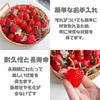 ENN LLC Клубничный Модель Продукта Образец Фруктов 50 Моделей, Штук, 3,5 см