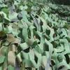 Камуфляжная сетка для улицы, защита от солнца для кемпинга, стрельбы, охоты, украшение из шкуры, зеленый/белый/синий/хаки
