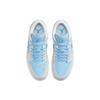 Air Jordan 1 Low SE Reverse Ice Blue Женские кроссовки Sail Dark-Powder-Blue DV1299-104