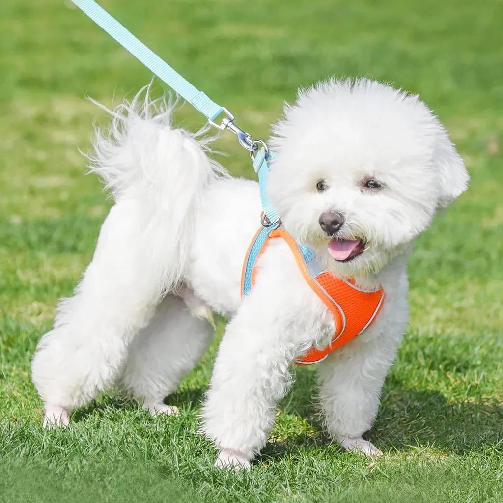 Шлейка для кошек, поводок, набор, светоотражающий, регулируемый, жилет для щенков, шлейка для кошек, маленькие и средние собаки, аксессуары для прогулок на свежем воздухе для кошек