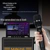 MALONE 2025 Portable Karaoke Speaker with Display (CN version)