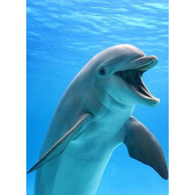 5D Полная Круглая Алмазная Живопись со Стразами - Тема Дельфины Мозаика Вышивка Крестом Искусство