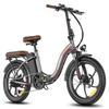 Electric Bicycle Fafrees F20+ Pro 250W Motor Foldable City Electric Bike 36V 25AH LCD display 7 Speed 20" Fat Tire