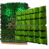 Eco-Friendly Wall-Mounted Non-Woven Planting Bag for Seedlings and Flowers