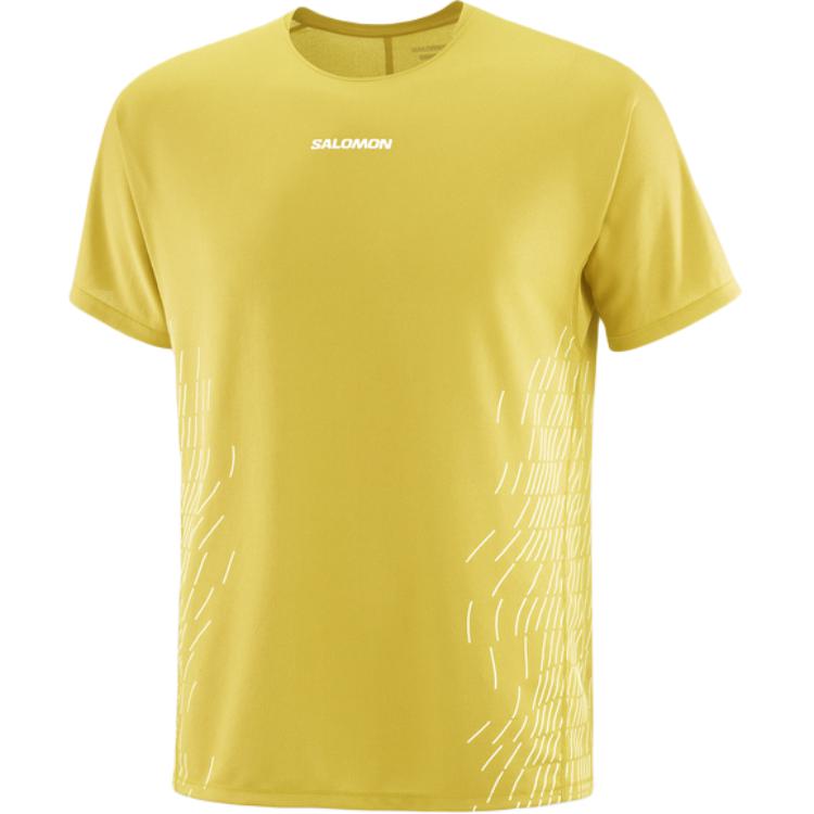 SALOMON T Shirt Men's Water Celery Green/Gray White LC2700200