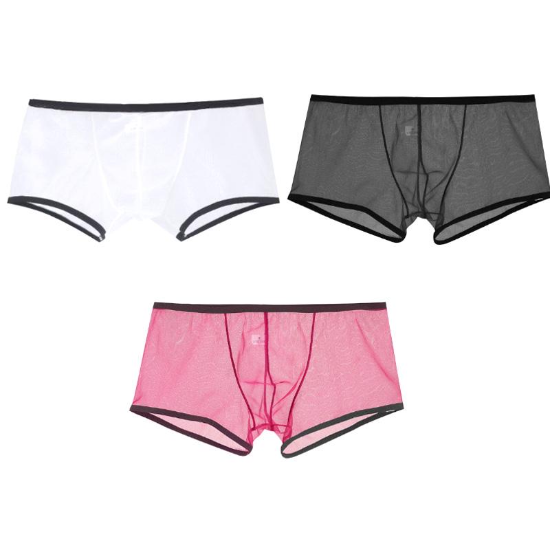 Men Transparent Low Rise Quick-Dry Boxer Briefs Ultra-thin See Through Mesh Men Underpants Sexy