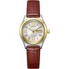 Citizen Automatic Mechanical Watch Waterproof Date Day Silver Gold