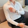 Men's Spring and Fall Casual Business Shirt Back Strap Design Long Sleeve Stand-up Collar Shirt