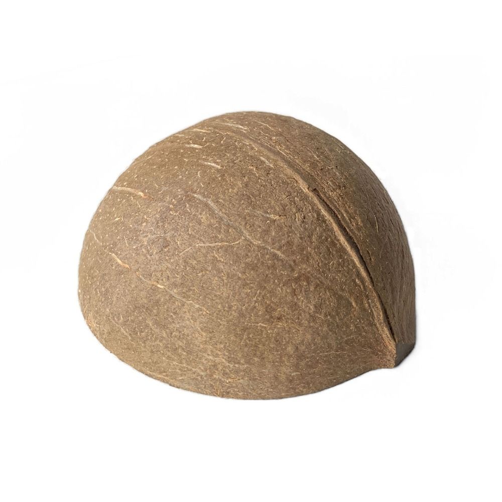 Natural Coconut Shell Hamster Coconut Cage Small Pet Toy Guinea Pig Hideout  Spiders