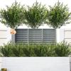 Simulated Fake Cedar Plant Plastic Artificial Pine Stems Leafy Shrubs Outdoor Home Decoration Garden Porch