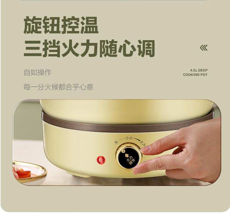 Rongshida Multi functional Split Electric Hotpot 4.5L