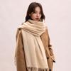 Tassel Imitation Cashmere Scarf Korean Style Women Shawl Simple Winter Neckerchief  Autumn