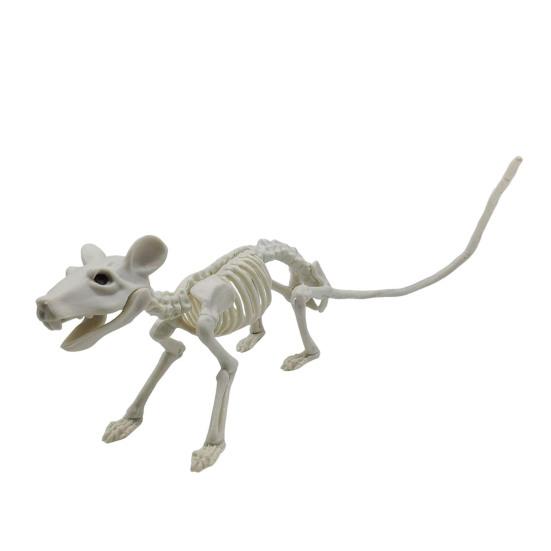 Halloween Animal Skeletons Dog Bat Frog Scorpion Spider Snake Rat Bone Skeletons for Halloween Party Haunted House Graveyard Scene Decoration