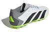 adidas Predator Accuracy.3 Бутсы 'Белый Черный Солнечно-Зеленый' IG5168