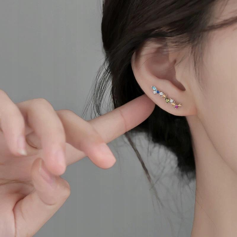 Fraise S925 Plated Earrings With Colorful Cubic Zirconia