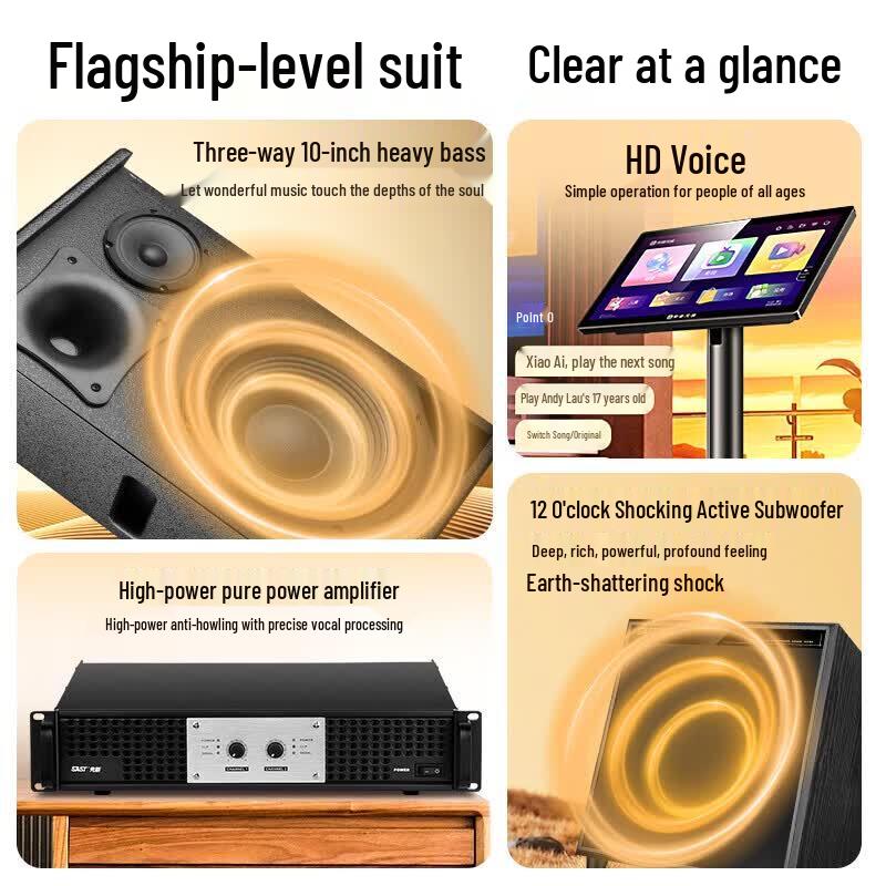 SAST 10-inch Home KTV Audio System with Amplifier & Song Player (CN version)