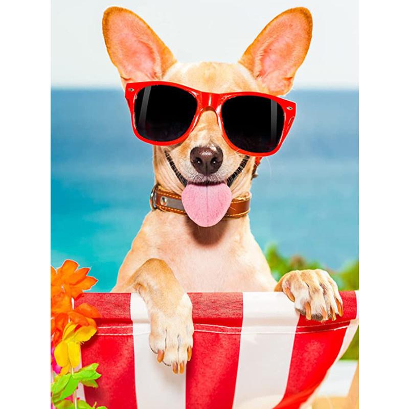 5D DIY Алмазная картина Happy Cool Beach Dog Алмазная вышивка Набор для вышивки крестом Полный горный хрусталь Мозаика Домашний декор