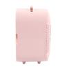 Mini Refrigerator Home Car Dual Use Makeup Fridge Portable Dormitory Office Refrigerator for Fruit