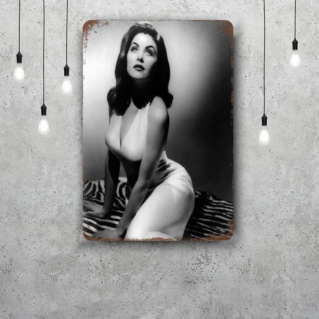 Sherilyn Fenn Retro Vintage Tin Sign Poster Decorative Plaque Metal Plate Wall Decor