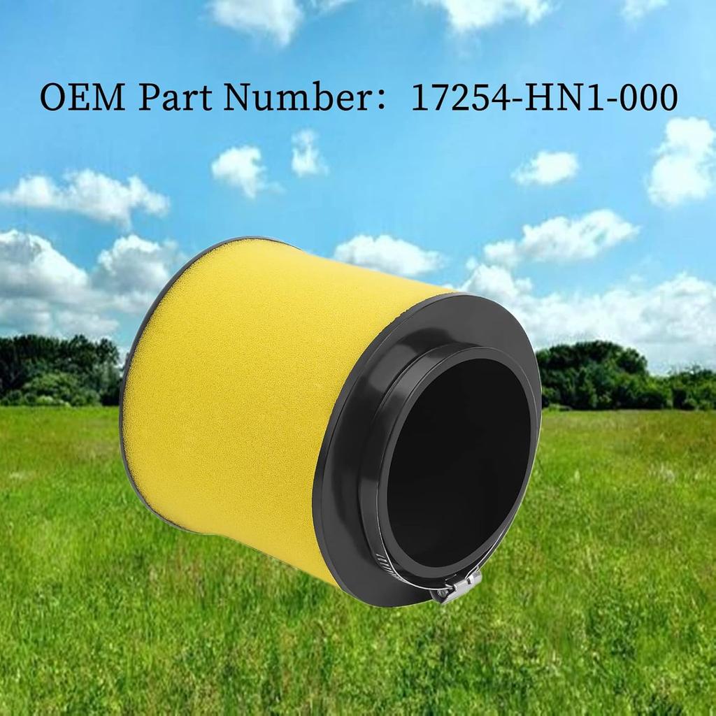 Road Passion 17254-HN1-000 Air Filters Replacement for Honda TRX400EX TRX 400 EX 1999-2001 2004 2006-2008/ TRX400EX Sportrax 400 EX 1999-2008/