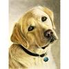 DIY 5D Diamond Painting Cross Stitch Kits Full Round Drill Dog Wall Art Mosaic Animal Diamond Embroidery Home Decoration Gift