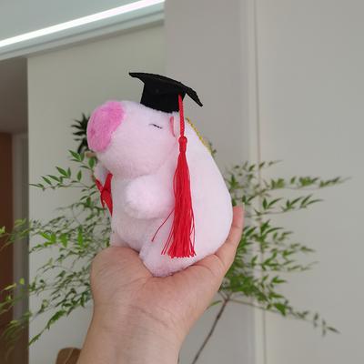 Милый милый Капибала-подвеска на выпускную в докторат Плюшевая игрушка Кукла Капибара Украшение для рюкзака Брелок