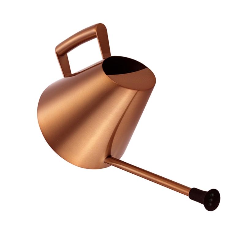 Маленькая лейка для комнатных растений Лейка с длинным носиком Внутренняя лейка для комнатных растений Цветы Суккуленты