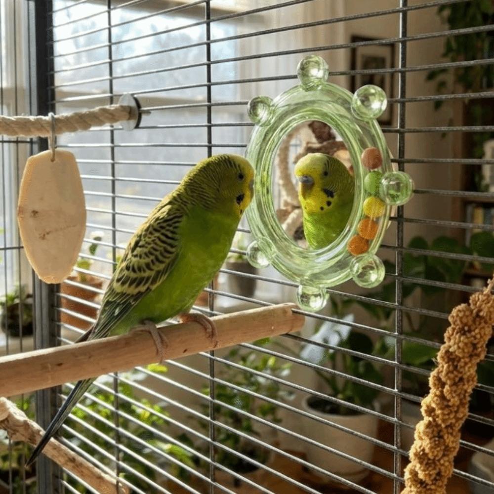 Wear-Resisting Bird Mirror Perch Colorful Ball Bird Flying Saucers  Bird Supplies