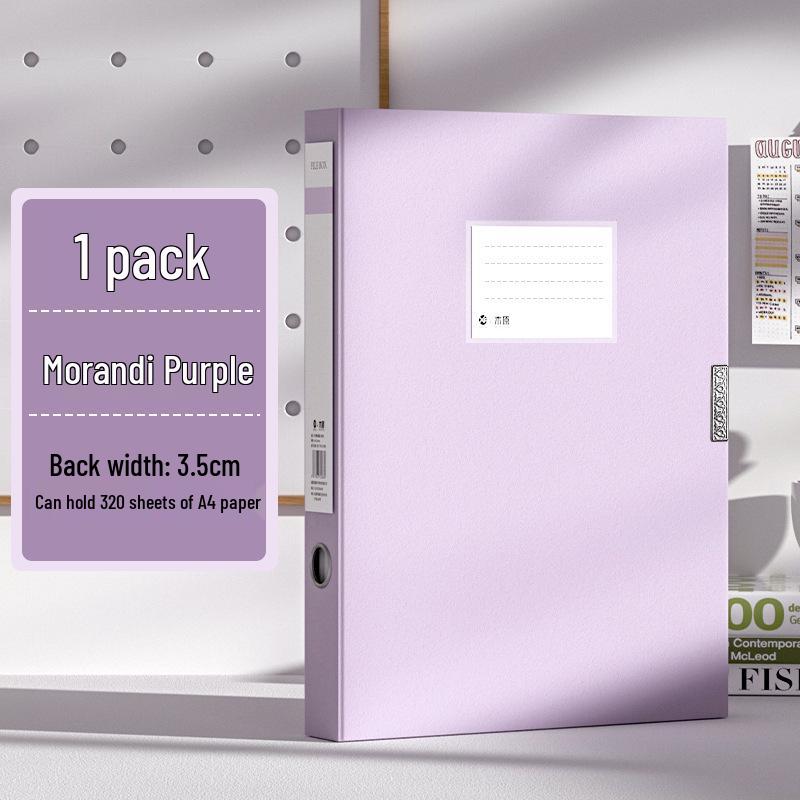 Архивный бокс формата А4, толщина пластика 55 мм, для офисных и бухгалтерских документов.