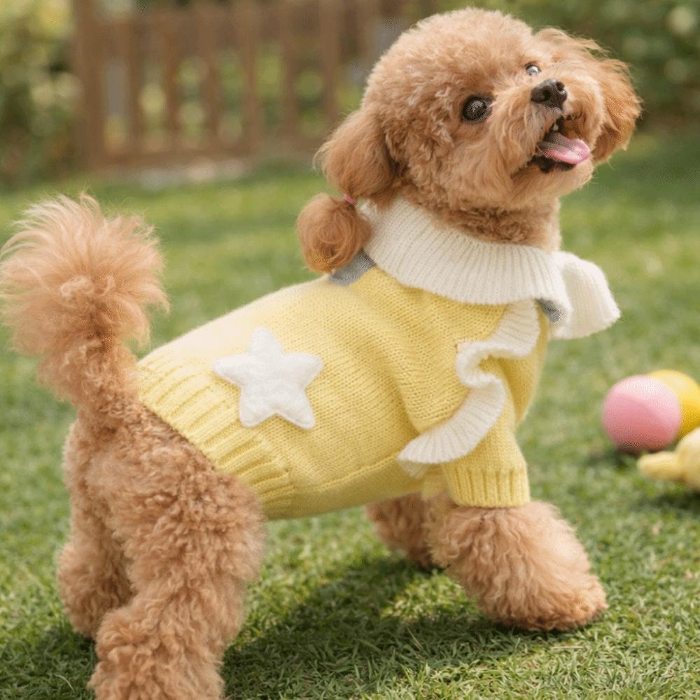 Warm Puppy Pullover Princess Style Dog Lapel Dress Pet Supplies Two Legs Dog Clothes Spring Autumn