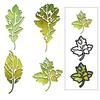 Cutting Dies - SIZZIX - 664970 - Set of 8 - Delicate Designs - Leaf Print - Tim Hol