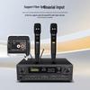 MALONE KT-330 Professional Home KTV Audio System (CN version)