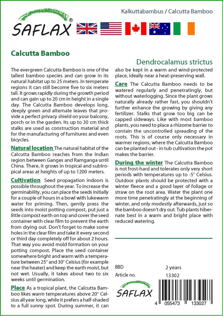 SAFLAX Калькуттский бамбук - 50 семян - Dendrocalamus strictus