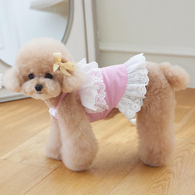 Pet Dog Dog Cat Clothing Teddy Bigbear Fighting Corgi Schnauzer Small and Medium Dogs Spring Summer Lace Dress