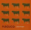 CD PLEGLICO - Guten Burger  MT2001 Japan ObiMusic Others Used