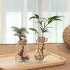 Transparent Flower Pot Vase Hydroponic Container Miniature Landscape Plastic Eco-Bottle Home Decoration