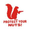 Fonney Protect Your Nuts Squirrel Bumper Sticker, Protect Your Nuts Funny Squirrel Decal |