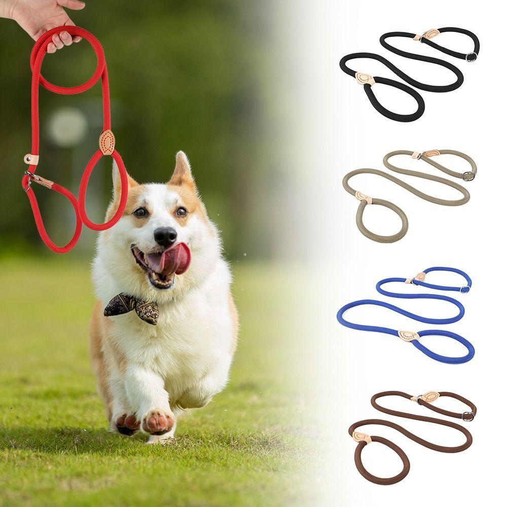 P Chain Lead Leash Heavy Duty Braided Rope Dogs Training Leashes for Small Medium Large Dogs