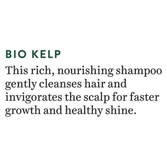 Biotique Bio Kelp Protein Шампунь для интенсивного роста волос от выпадения волос, 120 мл