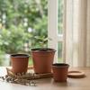 Two-tone Seedling Trays, 50 Trays Per Pack, Plastic Flower Pots With Drainage Holes, Suitable For Indoor And Outdoor Gardening.