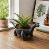 Desktop Decoration Dinosaur Flowerpot Funny Small Storage Container Plant Planting Pot  Balcony