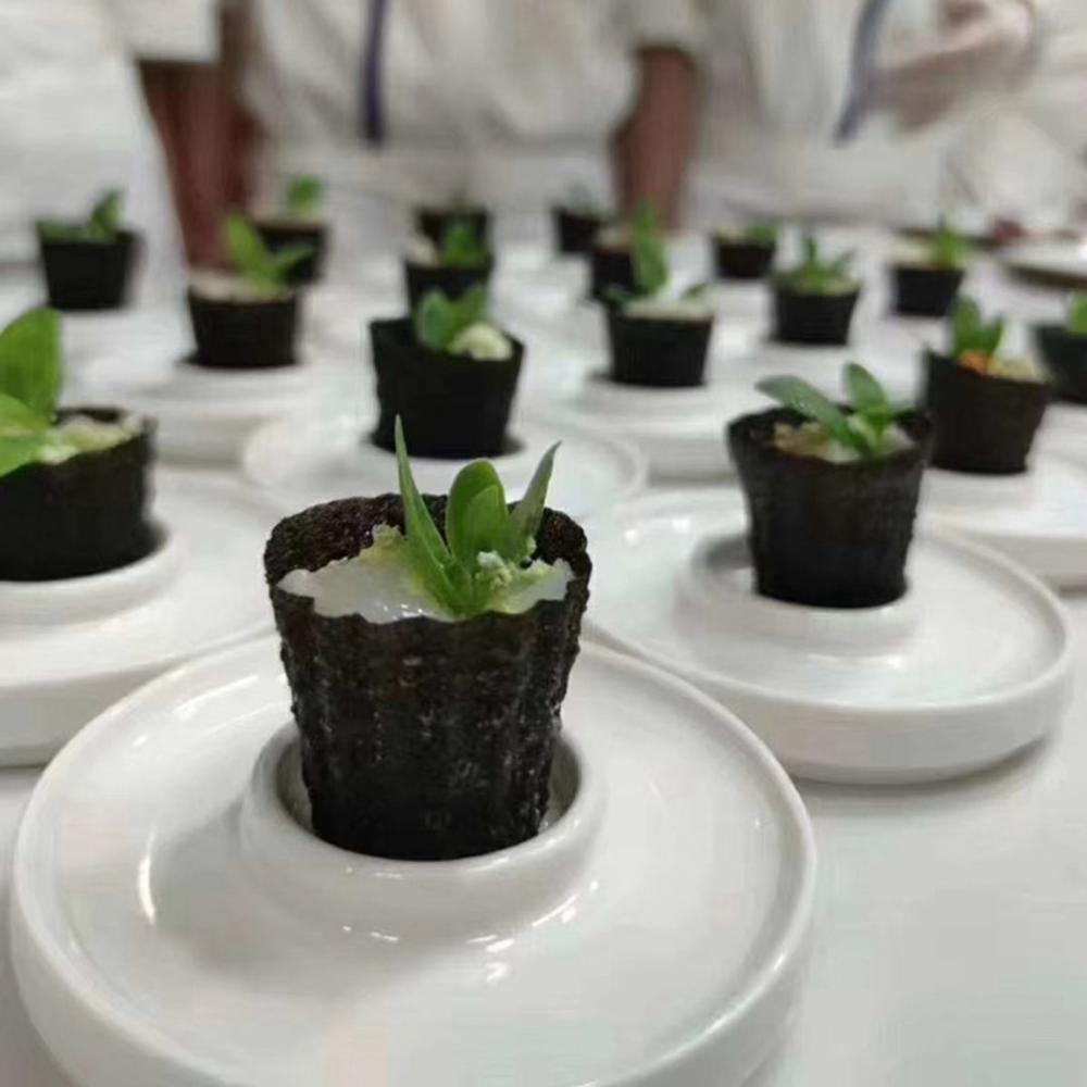 Выпечка Многоразовый Инновационный Традиционный Деревянная Ручка Пирог Чайник Форма Цилиндры Нёня Форма для выпечки