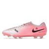 Nike Кроссовки Tiempo Legend 10 Elite FG Tournament Pack Unisex Pink-Foam Black DV4328-601