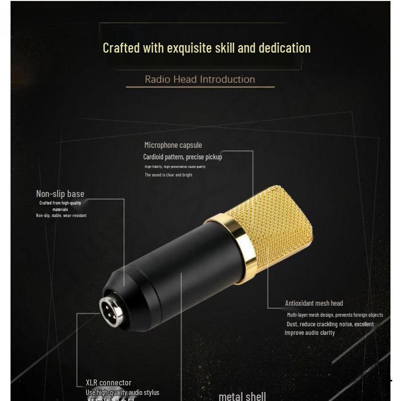 Конденсаторный микрофон BM700 с большой диафрагмой и внешней звуковой картой для компьютерной записи и ведения мероприятий