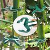 20/50pcs Plant Fixed Clips Reusable Garden Greenhouse Bracket for Fixed Plants Vine Flower Seedling Tomatoes Support Garden Tool